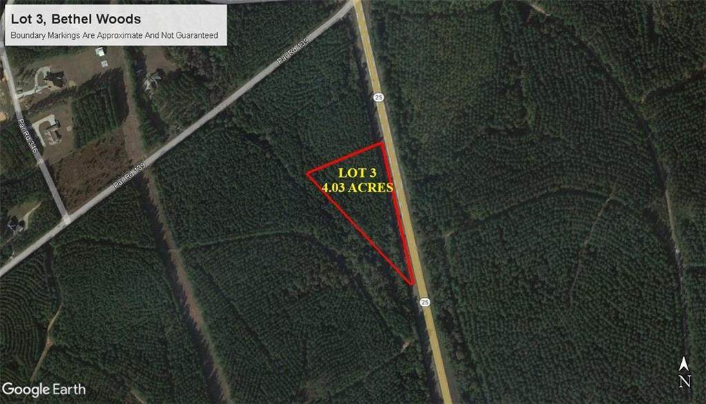 Lot 3 Hwy 25 Highway - Photo 1