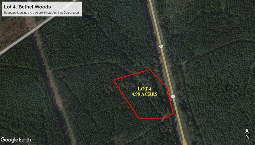 Lot 4 Hwy 25 Highway - Photo 1