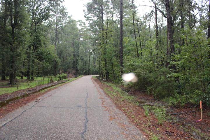 1-A Horseshoe North Road - Photo 1