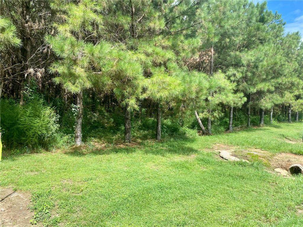 Lot 4 Mt Pisgah Road - Photo 1