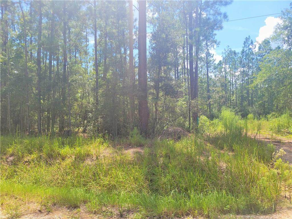27188 Francis Quimet Drive - Photo 1
