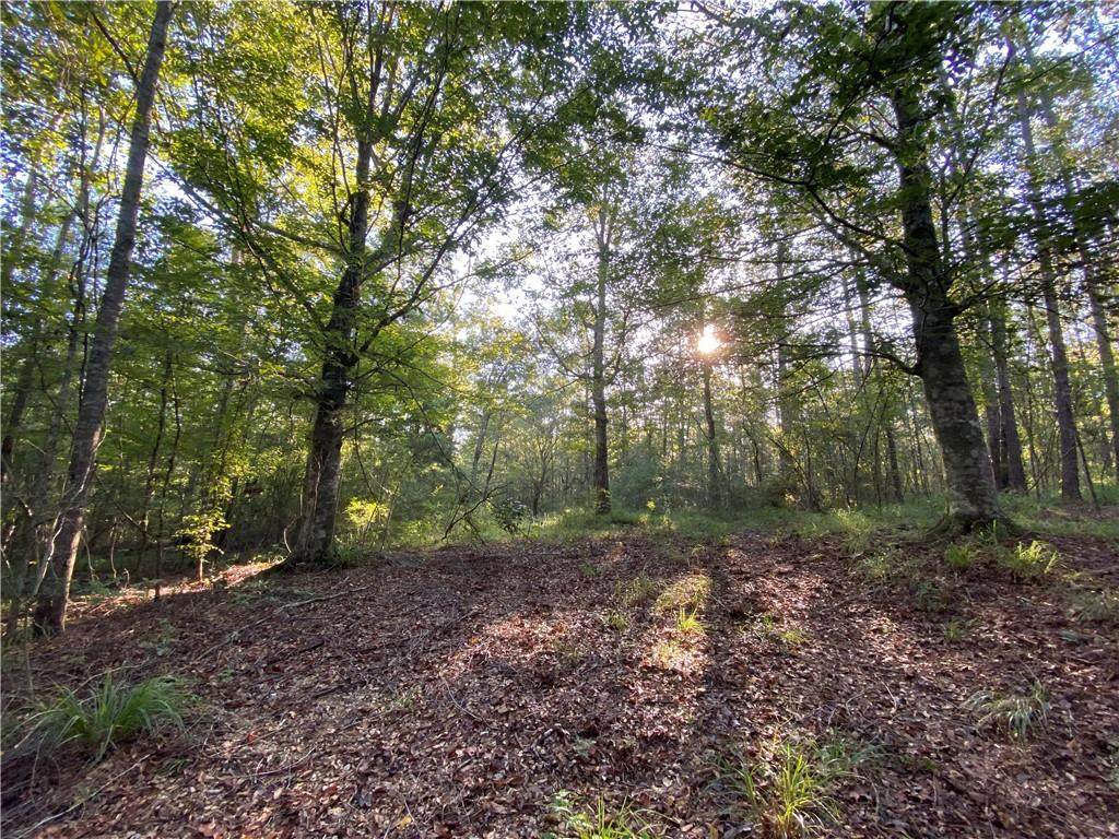 Jeff Bankston Road - Photo 1