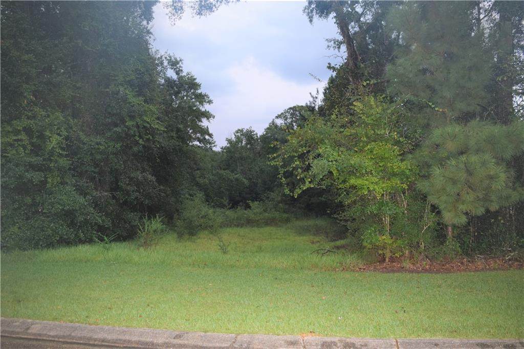 175 River Oaks Drive - Photo 1
