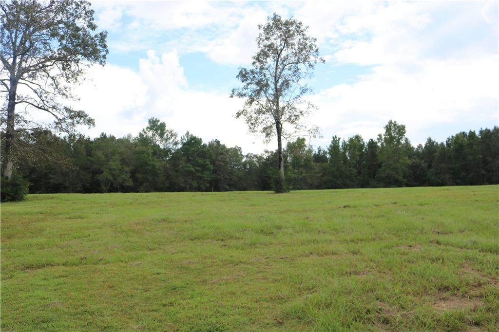 13.91 Acres Holmesville Road - Photo 1