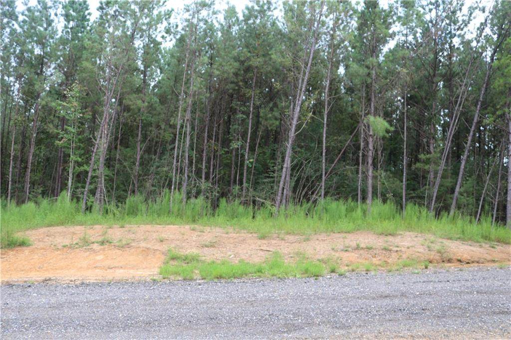 5.80 Acres Highway 25 - Photo 1