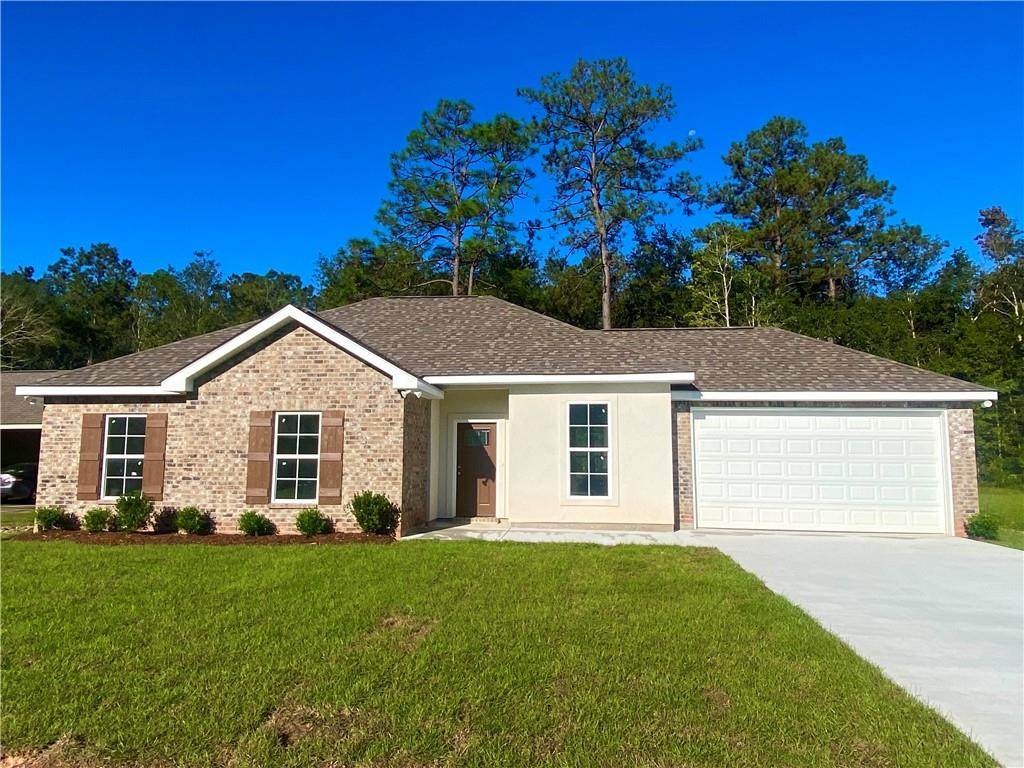 47053 Nekia Street - Photo 1