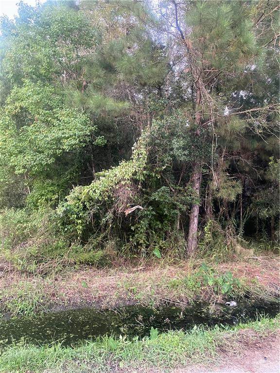 Jefferson Avenue - Photo 1