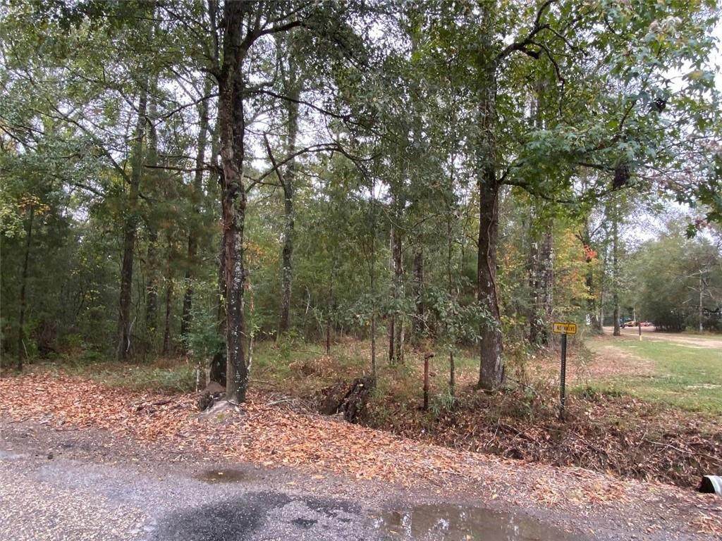 27184 Horseshoe Road - Photo 1