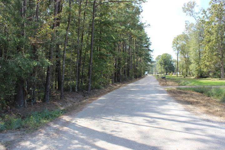 Webb Road - Photo 1