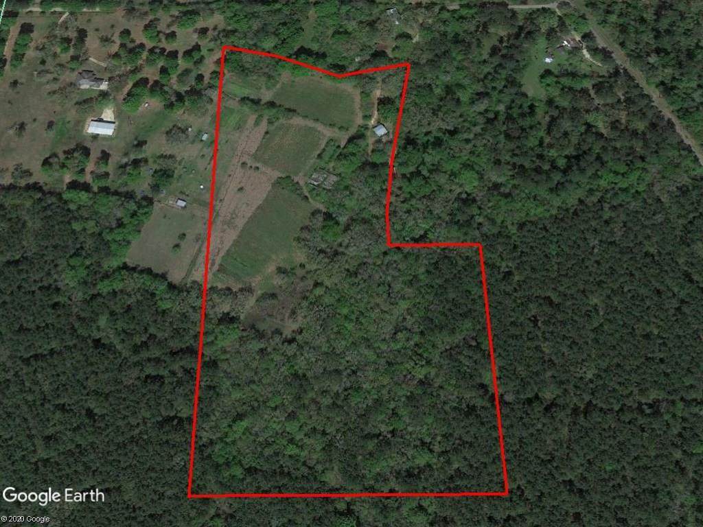 18.8 Acres Harold Core Road - Photo 1