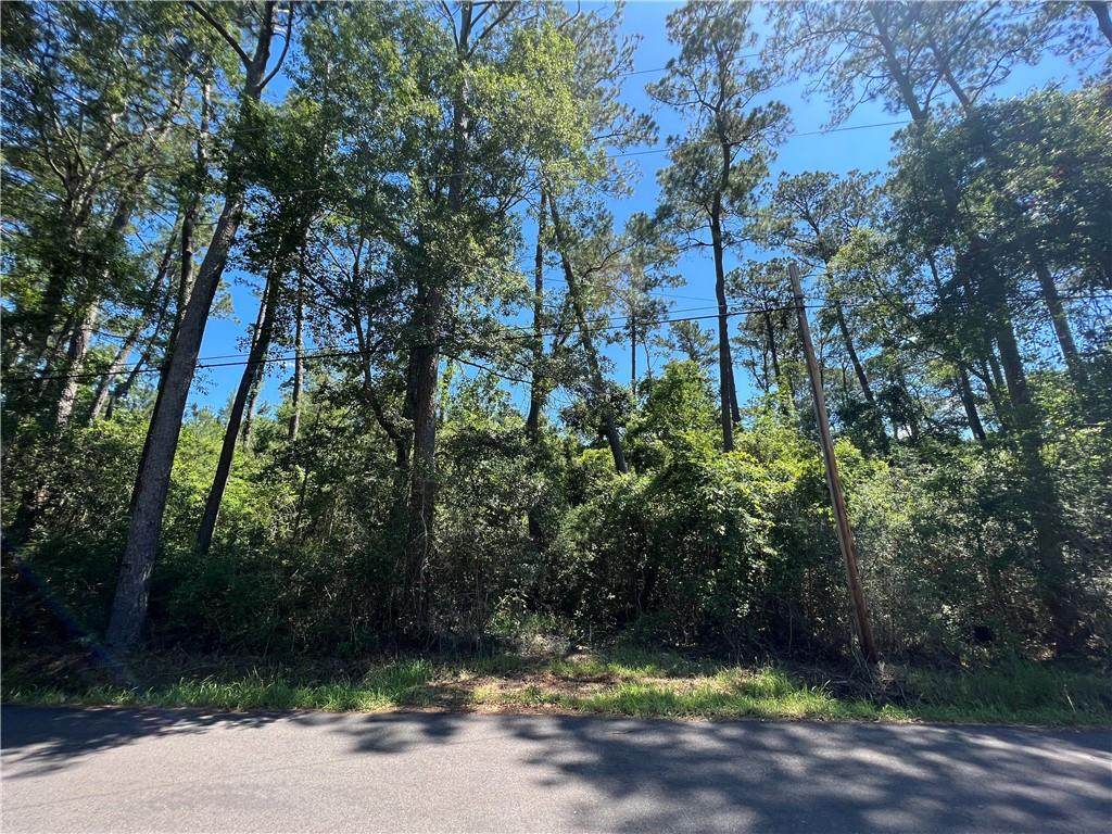 Lot 33 Creole Road Road - Photo 1
