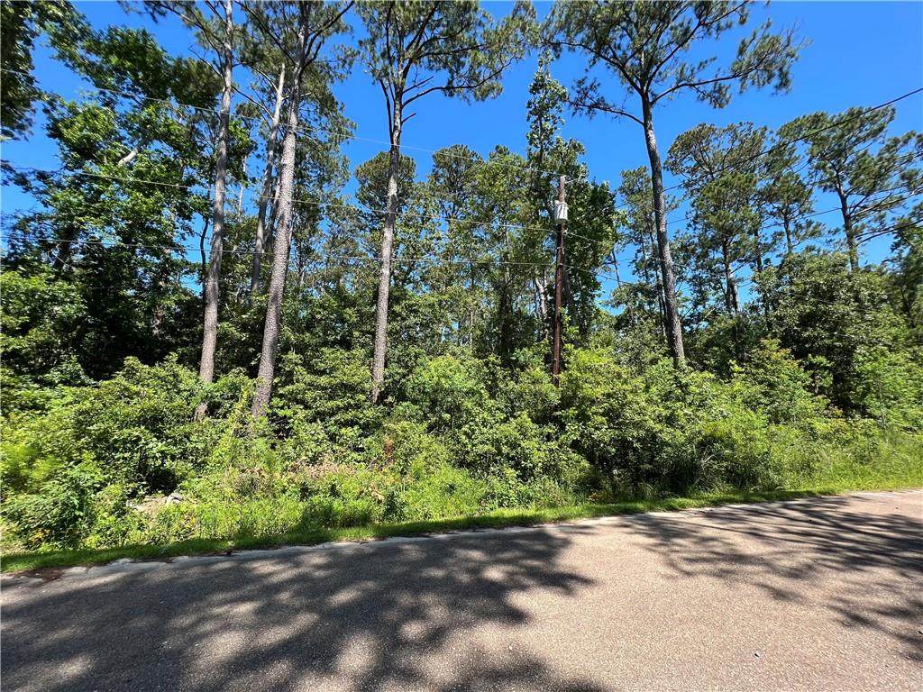 Lot 5 Muriel Lane - Photo 1