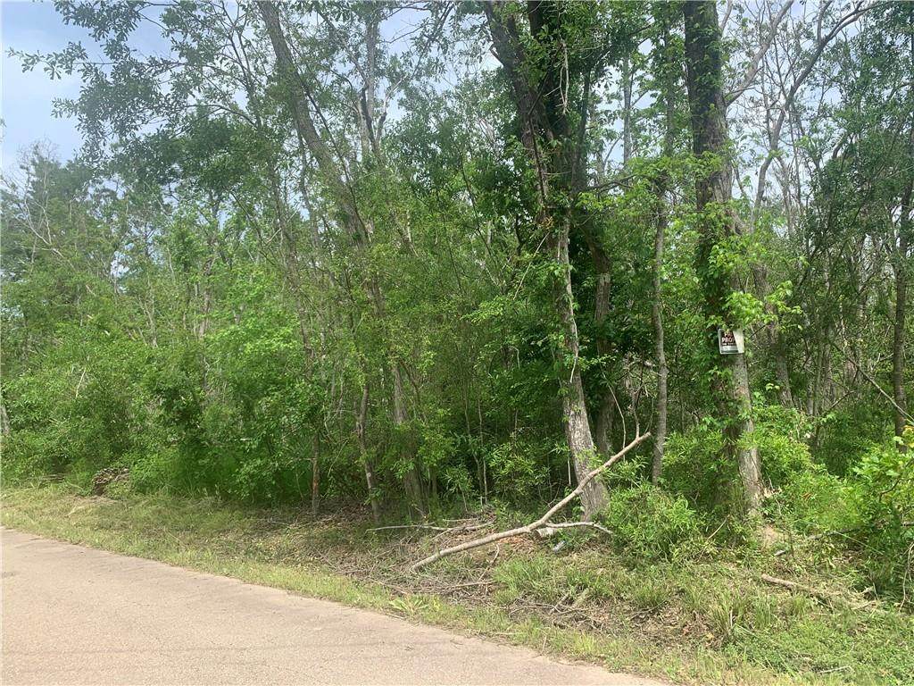 39270 Shingle Mill Road - Photo 1