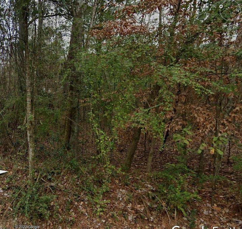 0 Gamma Avenue - Photo 1