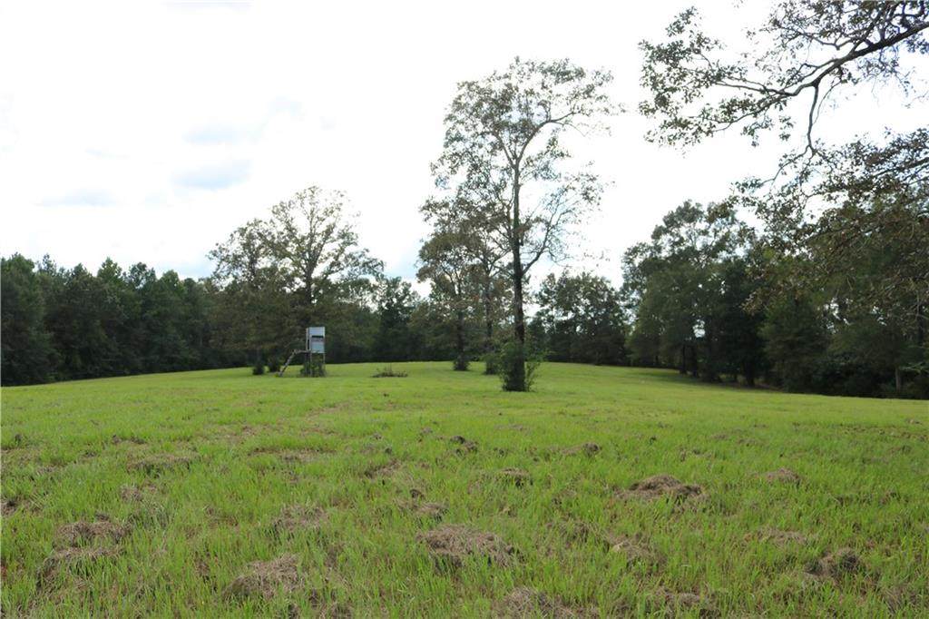 8 Acres Holmesville Road - Photo 1