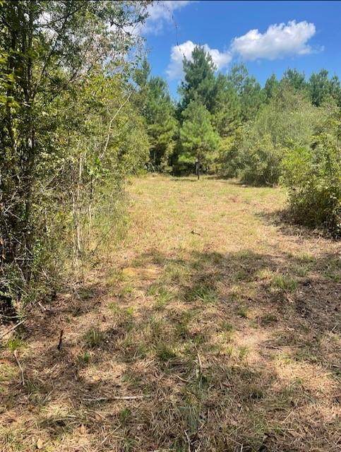 78112 Brab Alford Road - Photo 1
