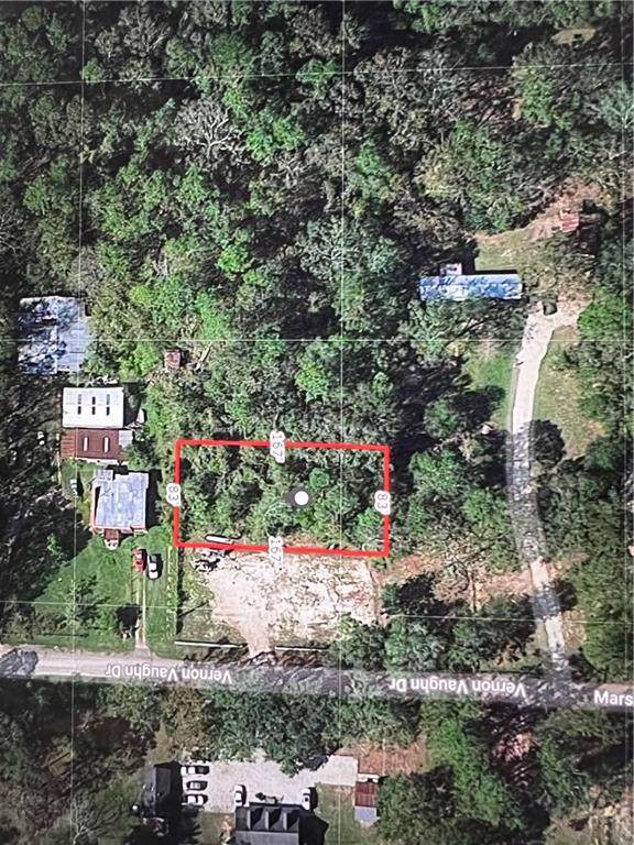 0 Vernon Vaughn Drive - Photo 1