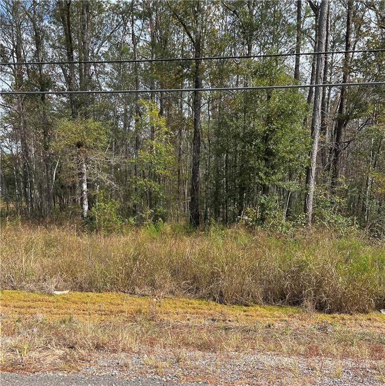 TBD 445 Highway - Photo 1