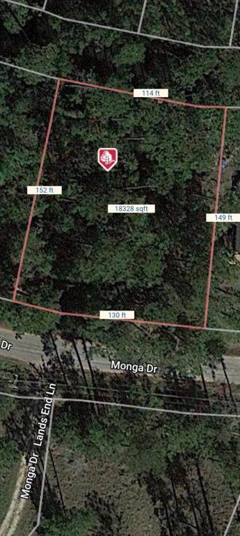 Lots 229&230 Monga Drive - Photo 1