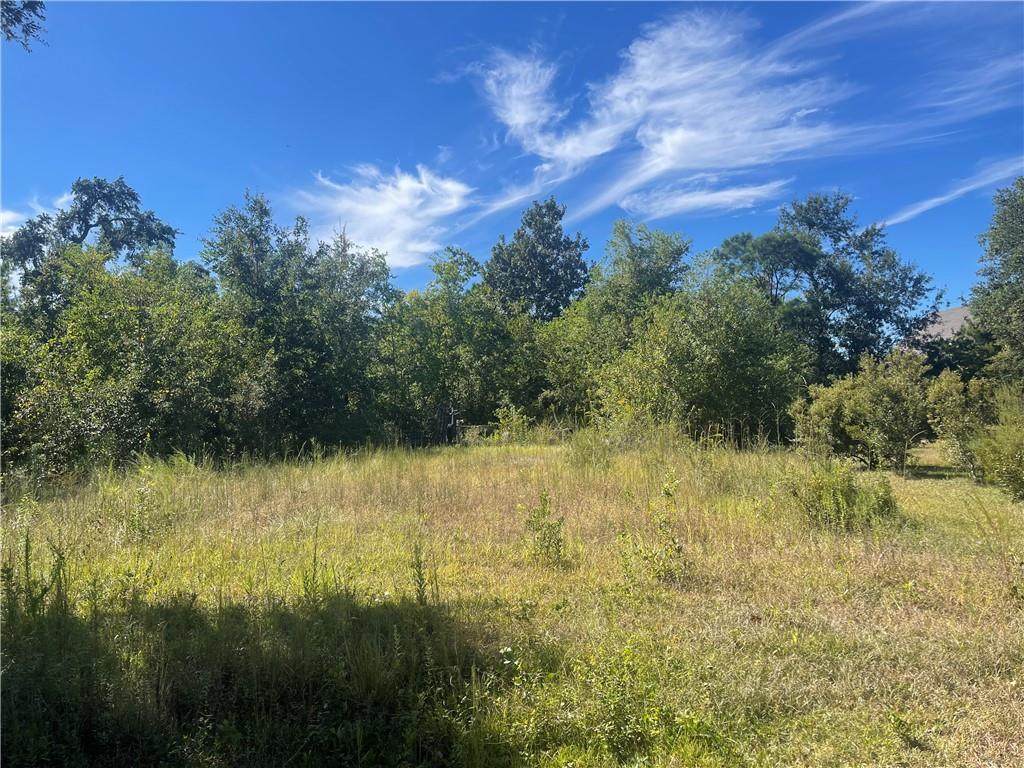 135 Old Pecan Grove Lane - Photo 1
