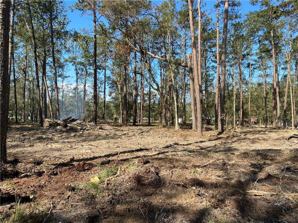 17260 Tract D Cypress Lane - Photo 1