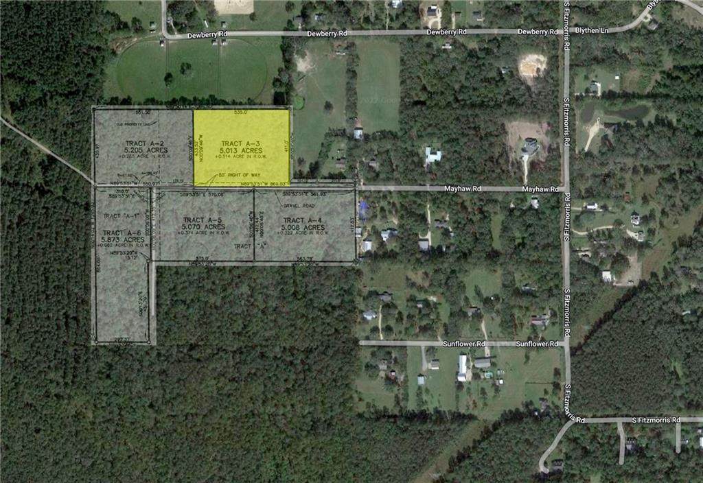 Lot A-3 Mayhaw Road - Photo 1