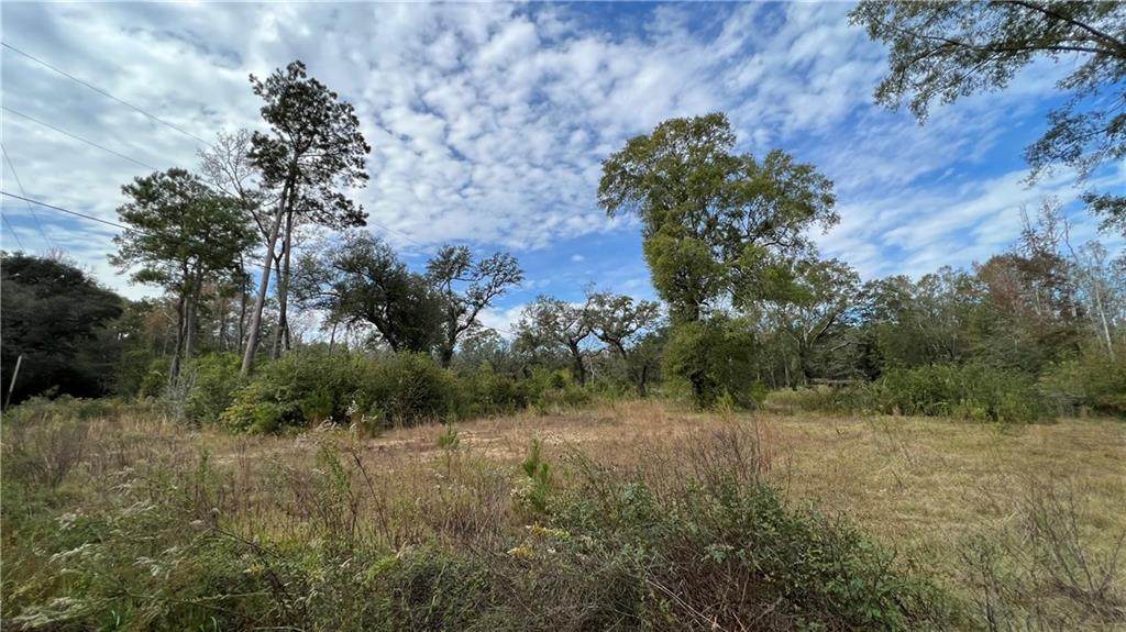 35119 Herman Singletary Road - Photo 1