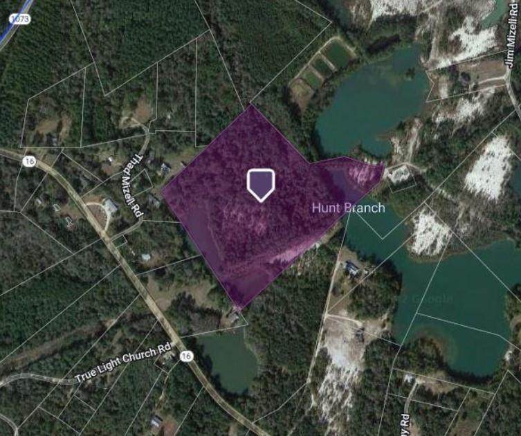Jim Mizell Road - Photo 1
