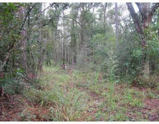0 River Road - Photo 1