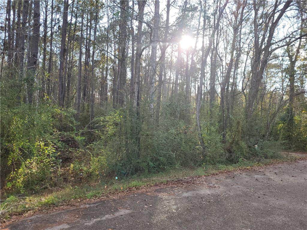 136 Guzzardo Lane - Photo 1