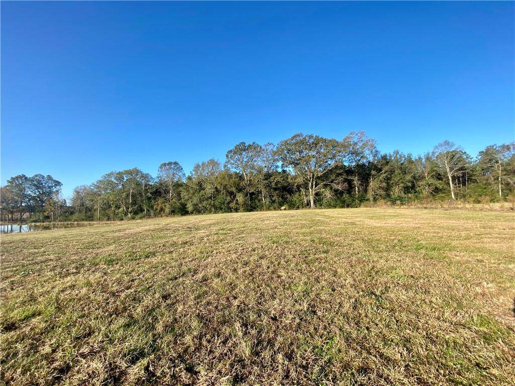 40625 Burton Lane - Photo 1
