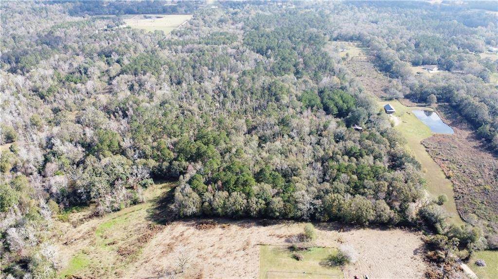 10800 Jessie Ard Road - Photo 1