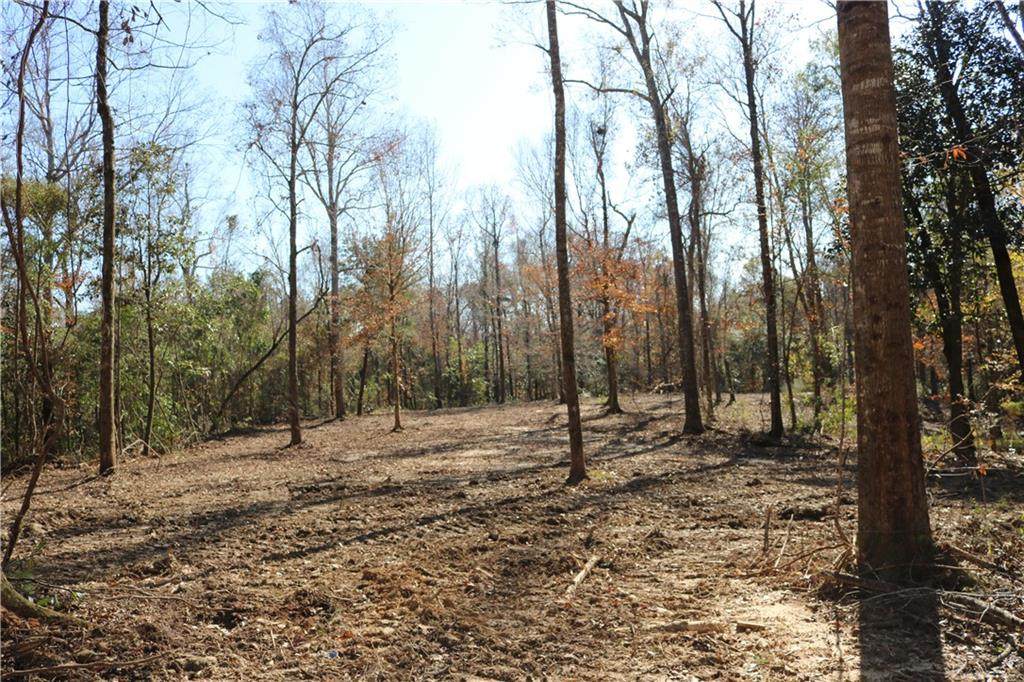 12.32 Acres Hidden Hills Lane - Photo 1