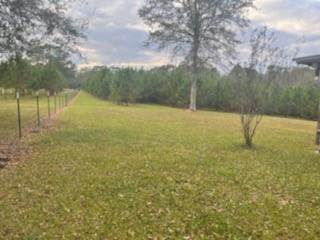 28261 Hwy 450 Highway - Photo 1