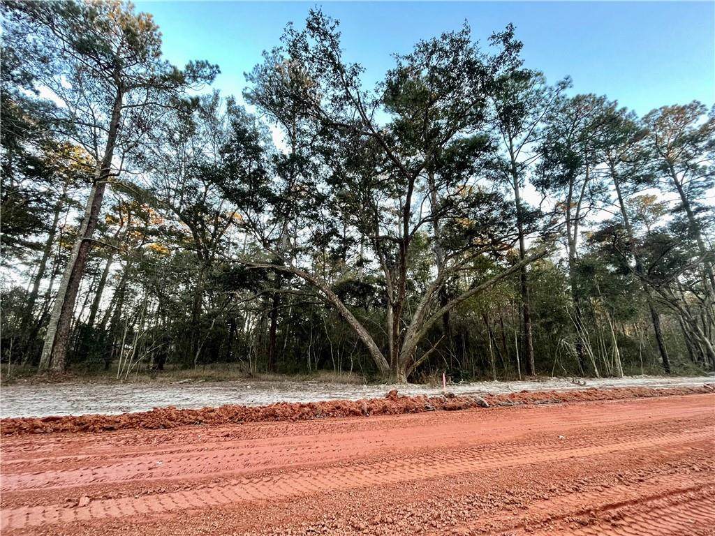 Lot EE-2 Cure Lane - Photo 1