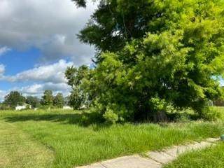 1944 Sugar Mill Drive - Photo 1