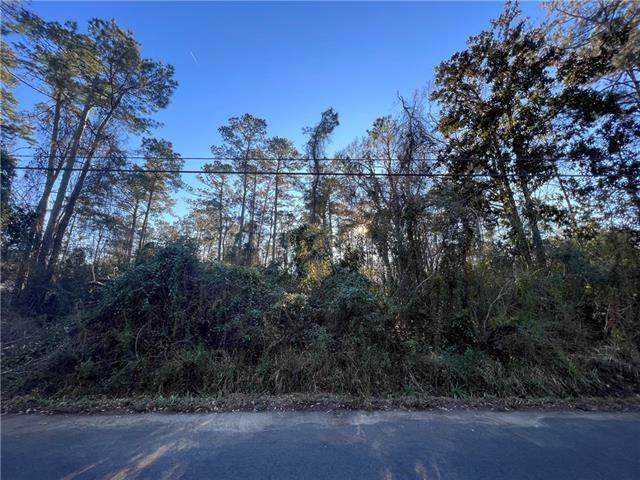 Creole Road - Photo 1