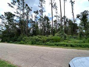 Tanglewood Drive - Photo 1