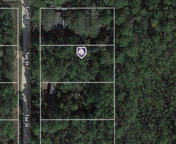 LOT 25 Tee Street - Photo 1