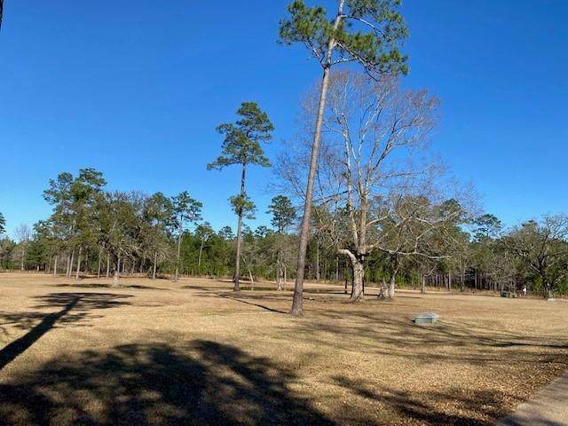 Lot 7; 8C Camphill Drive - Photo 1