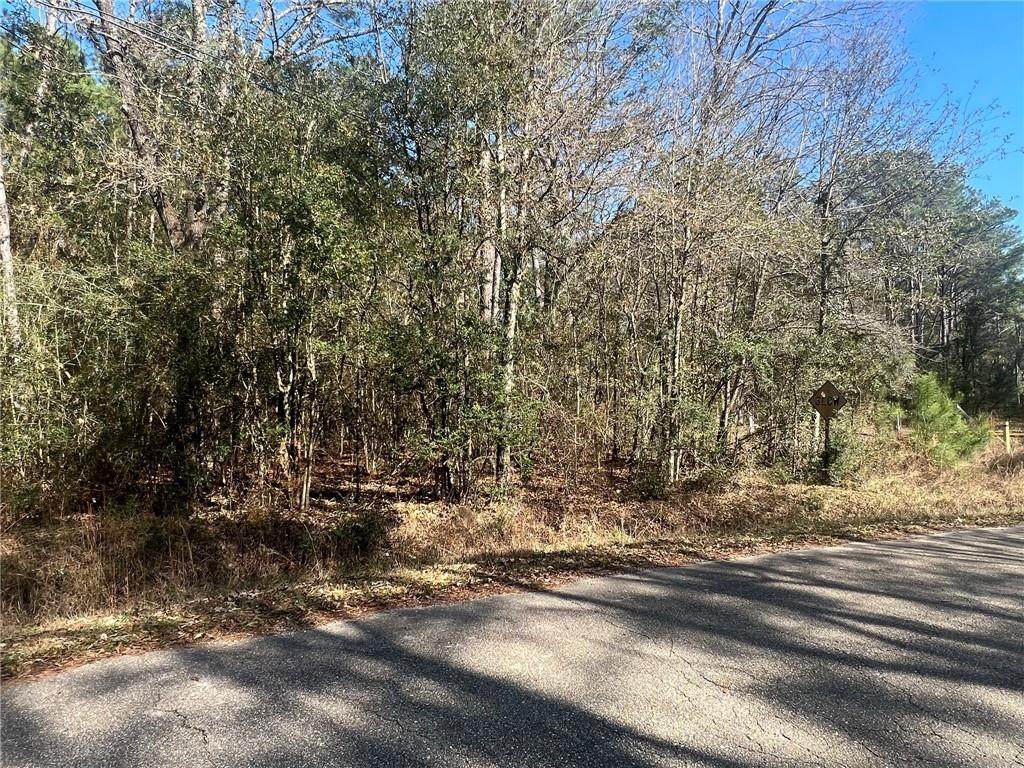 LOT B Wymer Road - Photo 1