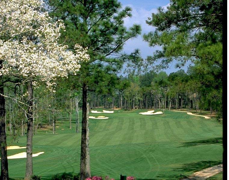 Lot 387 Bald Eagle Drive - Photo 1