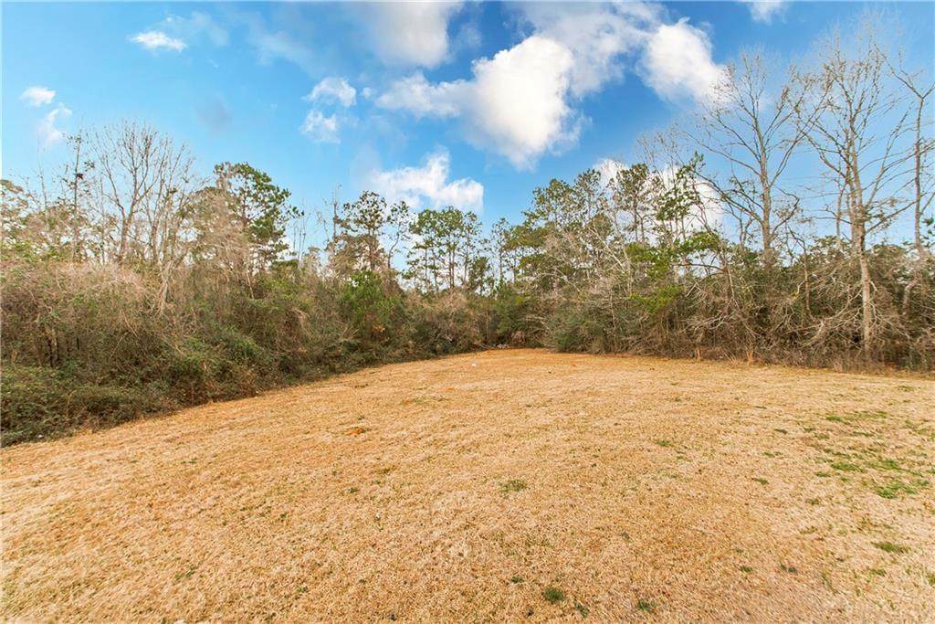 24521 Jim Edward Road - Photo 1