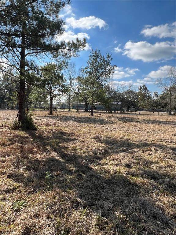 35937 Bill Stilley Road - Photo 1