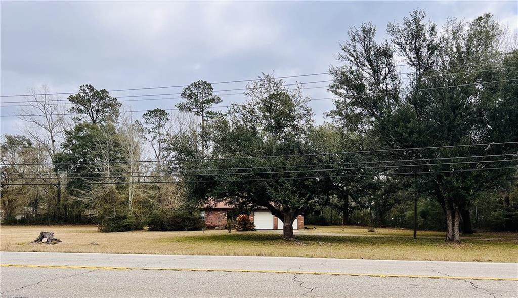 62364 434 Highway - Photo 1
