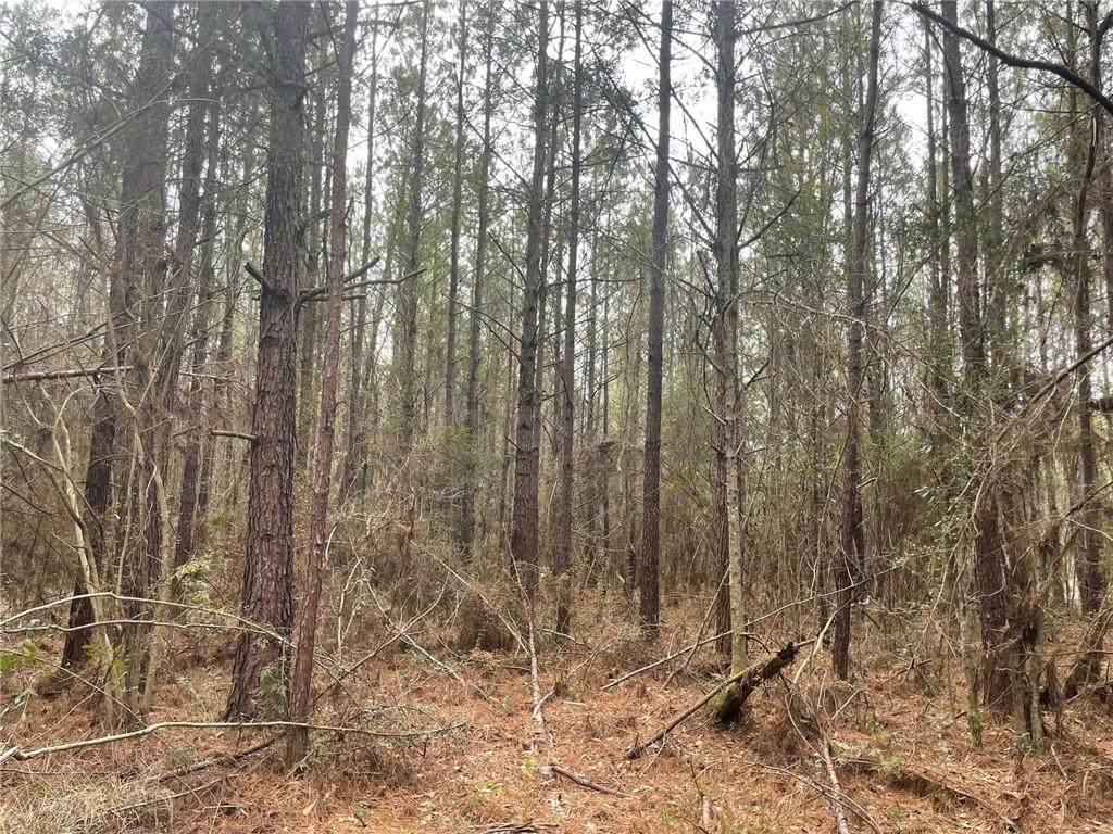 LOT B Fisher Road - Photo 1