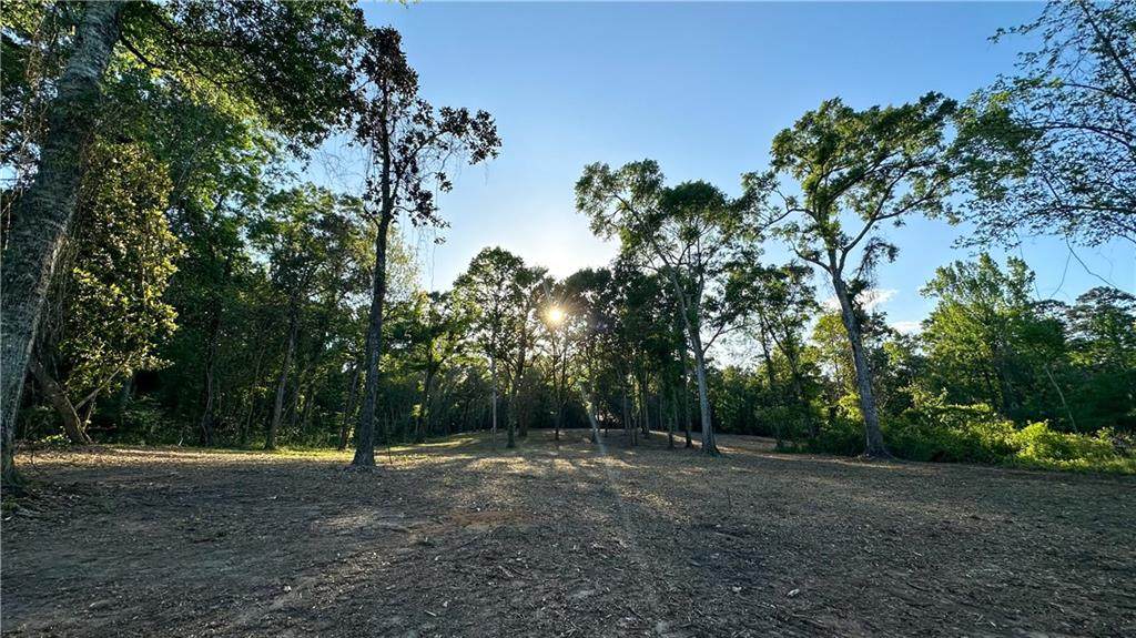 13722 Highway 40, Folsom, LA 70437 (MLS 2391110) eXp Realty