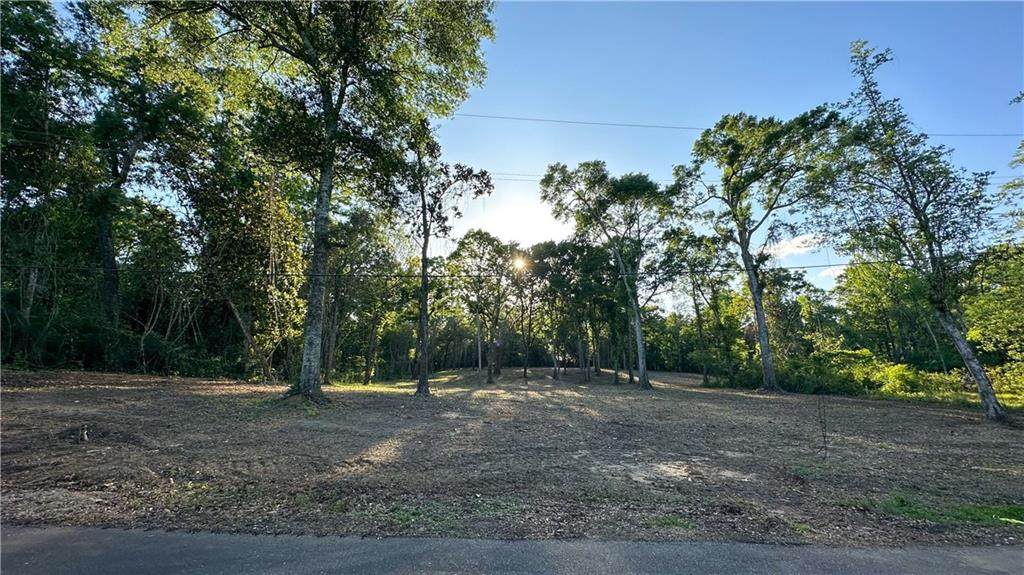 13722 Highway 40, Folsom, LA 70437 (MLS 2391110) eXp Realty