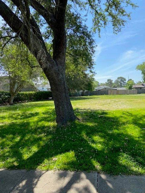 Lot 42 B1 Sauve Road - Photo 1
