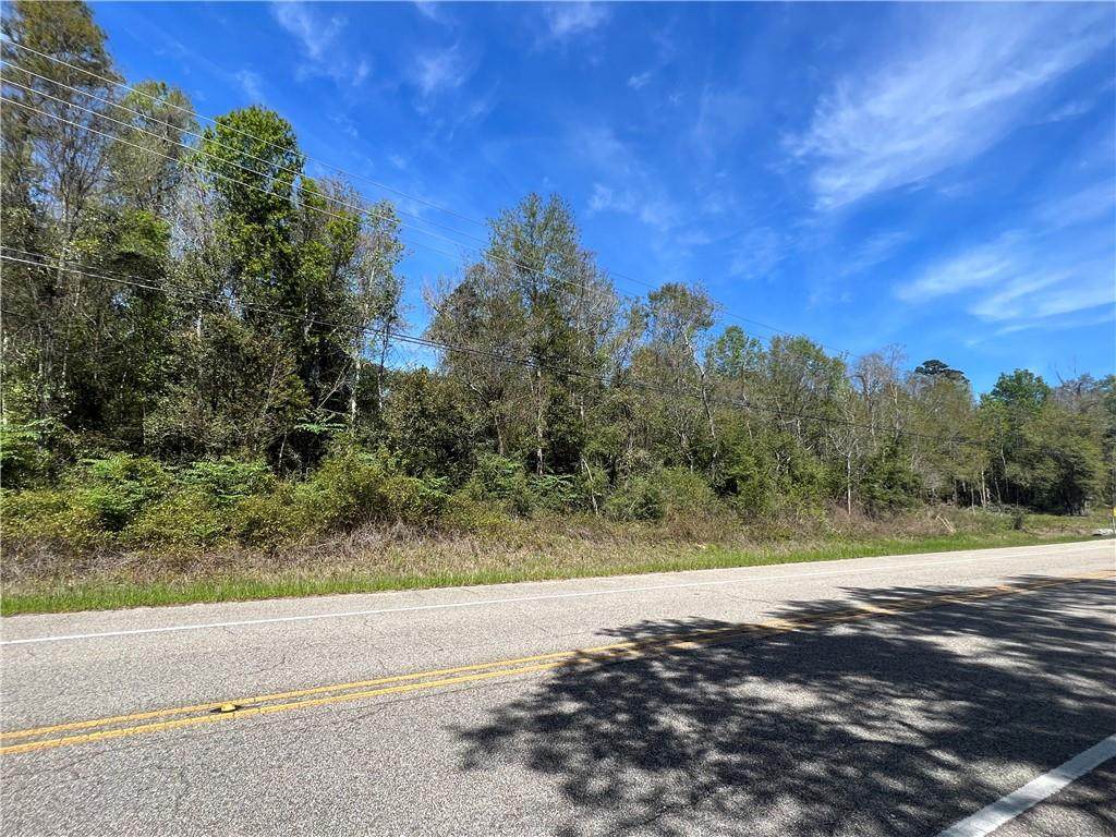  Business 190 Highway - Photo 1